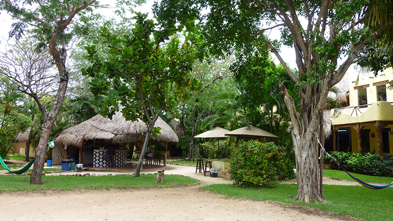 NUESTRA ESCUELA DE ESPAÑOL EN PLAYA DEL CARMEN DQ