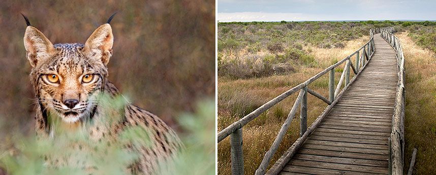 Doñana National Park