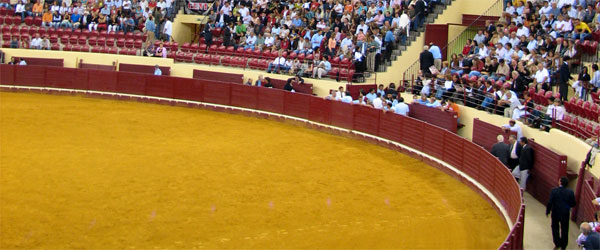 Bullfighting in Spain