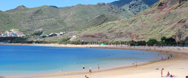 Diving in Tenerife