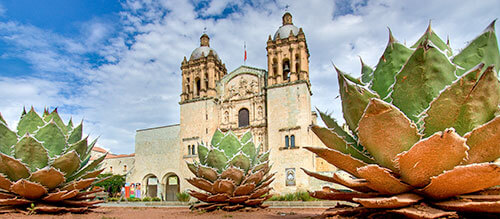 travel to oaxaca to learn spanish