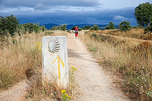 Walk This Way: El Camino de Santiago