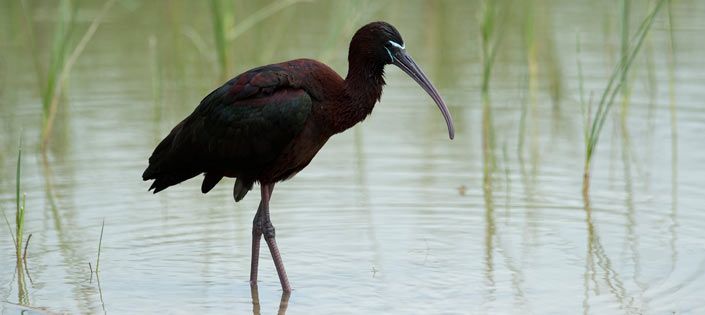 Spain now the country with second most UNESCO Biosphere Reserves